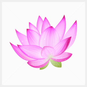 Dana Donation Meditation Group